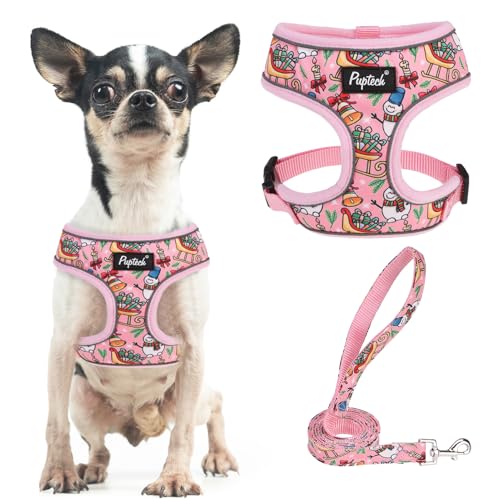 PUPTECK Christmas Dog Harness and Leash Set No Pull Small Sized Dogs Puppy