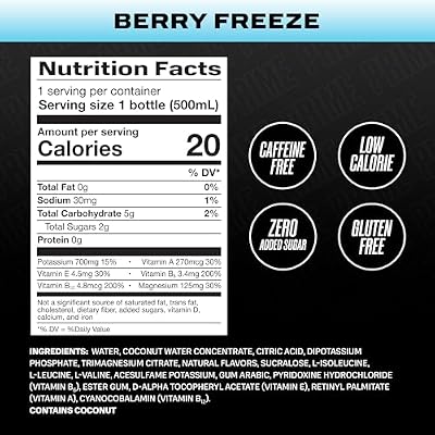 PRIME Hydration BERRY FREEZE, Sports Drinks, Electrolyte Enhanced for Ultimate Hydration, 250mg BCAAs, B Vitamins, Antioxidants, Low Sugar, 16.9 Fl Oz, 12 Pack
