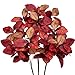 magnolia leaf bushes