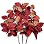 3pcs Bush Orange Red