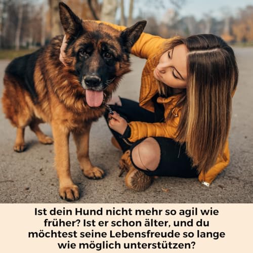 DOG NATIVE GelenkFit für Hunde, hochdosiertes Gelenkpulver mit Grünlippmuschel, MSM, Chondroitin & Kollagen, natürliches Pulver für Gelenke, 175g