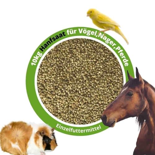 Hanfsaat Hanfsamen 10kg für Vögel, Nager und Pferde