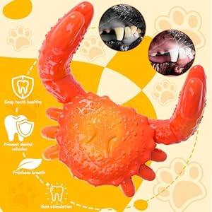 Dog toys indestructible dog chew toys for aggressive chewers tough super chewer nylon bones dog toys with bacon flavor crab teething and training chew toys for large medium small dog breeds   cucciolini doodles