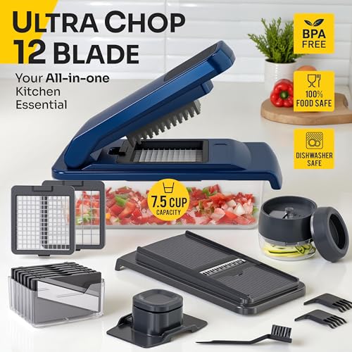 https://m.media-amazon.com/images/I/51w-amP9KkL.jpg