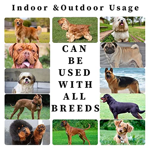Image of Patch & Marshall Dog Pee Mats / Sheets with Adhesive Floor Strips Suitable for Puppies,Small , Medium & Large Dogs Leak Proof , Disposable, 10 Pcs, (90 x 60 cm)