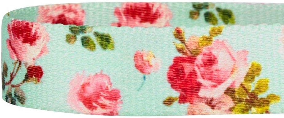 Blueberry Pet 9 Patterns Durable Spring Scent Inspired Floral Rose Print Turquoise Dog Leash 5 ft x 5/8", Small