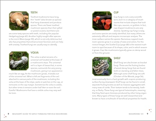 Callisto Stephenson, Karen Beginner'S Guide To Safely Foraging For Wild Mushrooms: Identifying And Collecting Mushrooms Sustainably With Confidence thumb #2