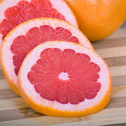 Gourmet Fruit Gift Pack, Orchard Fresh (8lb) Family Pack Grapefruit (12 pieces) Loaded with Immunity Boosting Vitamin C from Capital City Fruit, Farm Produce Direct