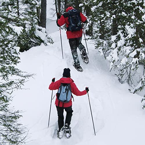 Resvin 25/30 Inches Snow Shoes For Men Women Youth, Lightweight Aluminum Terrain Snowshoes With Special Eva Padded Ratchet Binding And Carrying Tote Bag #TOP6