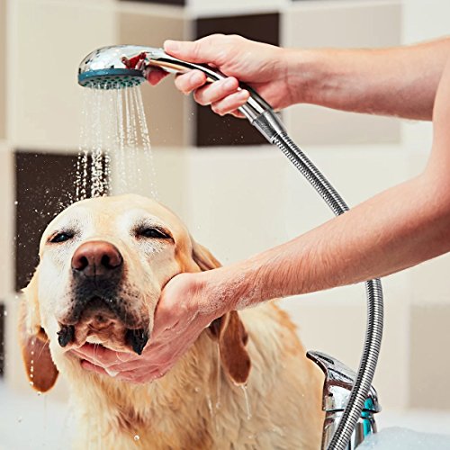 HooSeen Shower Hose, 79-inch Extra Long 18/8 Stainless Steel Handheld Showerhead Hose Replacement with Solid Brass Connector