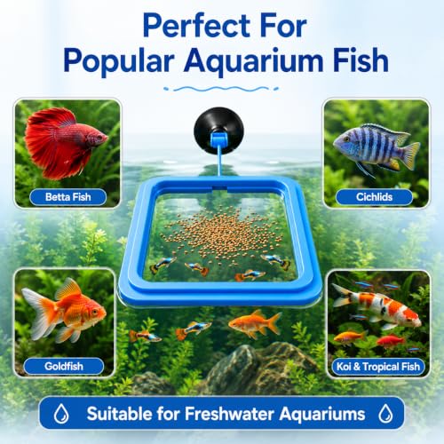 Image of VAYINATO Plastic Fish Feeder for Aquarium Tank Floating Food Feeding Ring, Square - Aquarium Fish Tank Accessories Cichild, Beta, Goldfish, Spirulina and Koi Pond - with Suction Cup