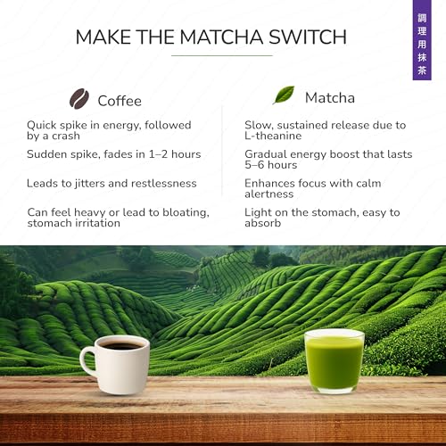 Image of TeaFit Culinary Japanese Matcha Tea Powder, 30 grams | Sourced from Uji, Japan | 100% Pure & Authentic Culinary Grade Green Tea | Rich in Anti-Oxidants | Everyday Matcha