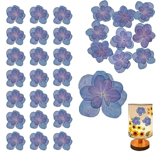 Flores secas prensadas azul púrpura para artesanía resina miniatura 1