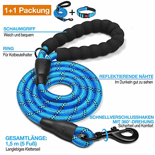 haapaw reflektierendes Hundehalsband gepolstert mit weichem Neopren atmungsaktiv einstellbar Nylon Hundehalsbänder für kleine mittlere große Hunde