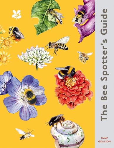 The Bee Spotter’s Guide: Discover Britain’s bees with this beautifully illustrated little guide by Dave Goulson, the Sunday Times best-selling author of ‘The Garden Jungle’. (National Trust)
