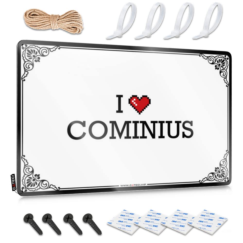 Fzfn Colour Adorable Wall Art, Man Cave Stuff Accessories I Love Cominius | Farmhouse Mountain Decor(30X40cm)