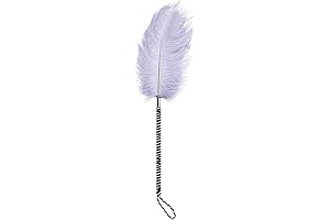 SM Spaking Feather Feather Teaser Camel Father Adult Tease Feather Toys Alternative...