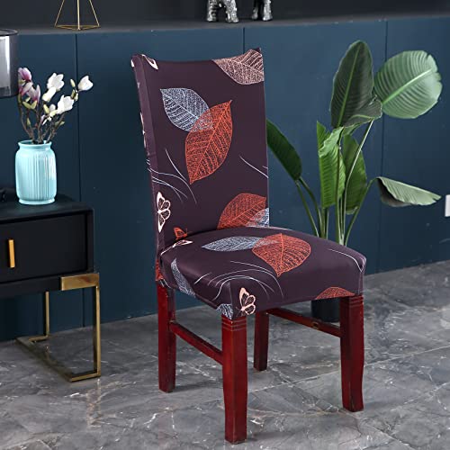 Image of House of Quirk Elastic Chair Cover Stretch Removable Washable Short Dining Chair Cover Protector Seat Slipcover ((Pack of 2, Choco Leaf))