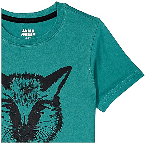 Image of Amazon Brand - Jam & Honey boys Casual Cotton T-Shirt Short Set (J&H-SS21-BSET-HSS Multi 12 10-11 Years)