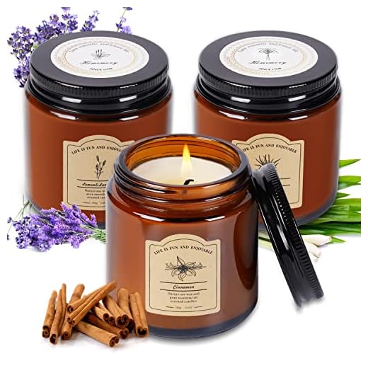 3 Pcs Scented Candles for Home, Natural Soy Wax Candles with Essential Oils, Cinnamon, Lavender & Citronella Scented Candles, Beeswax Candles for Indoor and Outdoor, Candle Gifts for Women, 3.5oz