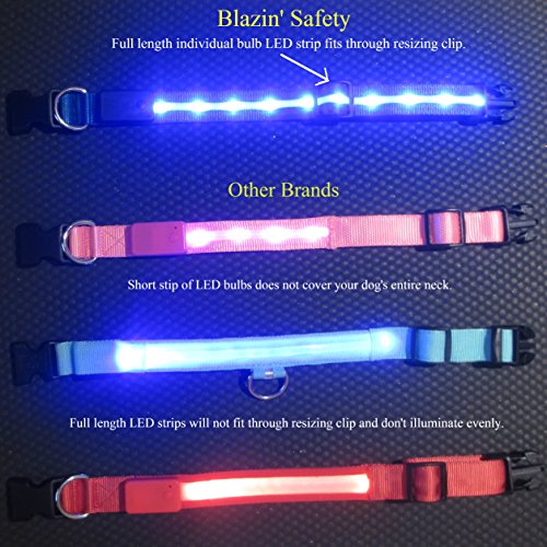 Blazin' Safety LED Dog Leash - USB Rechargeable Flashing Light, 6 Ft, Water Resistant – Avoid Danger – Red