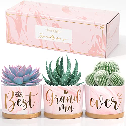 Christmas Grandma Gifts, Gifts for Grandma from Granddaughter Grandchildren, Nana Gifts Grandma Birthday Gifts Thanksgiving Presents, Best Grandma Ever Succulent Pots for Plants Indoor Ceramic Planter
