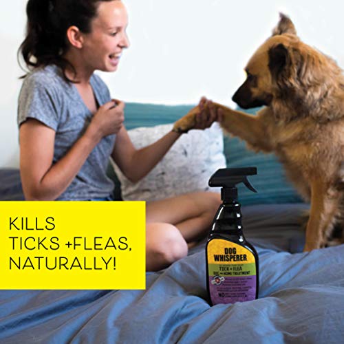 YAYA ORGANICS Dog Whisperer Tick + Flea Home Treatment Spray, Proven Effective, Plant-Based (24 ounces) - Image 7