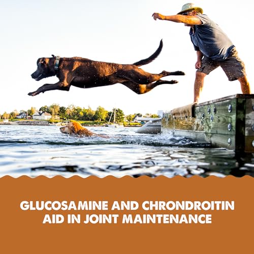 Grizzly Joint Aid for Dogs Liquid Hip and Joint Support (Extra Strength), 32 fl oz Grizzly Joint Aid for Dogs Liquid Hip and Joint Support (Extra Strength), 32 fl oz