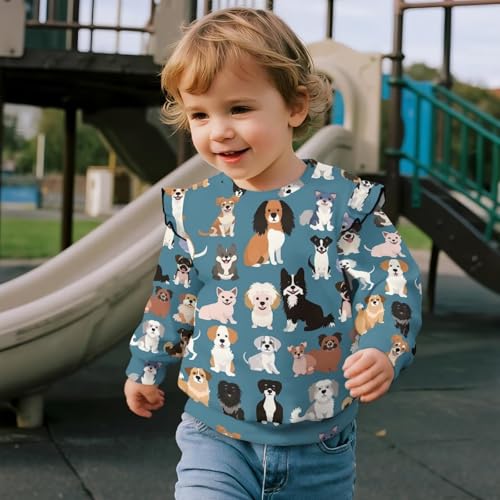 Uourmeti Cute T Shirts for Girls Long Sleeve Pullover Tops Ruffle Shoulder Fall Clothes4