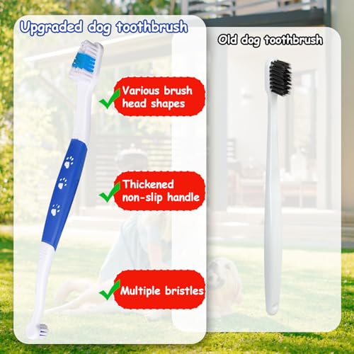 Image of Gosknor 3 Pcs Dual Headed Pet Toothbrush for Dogs & Cats, Soft Bristles Pet Teeth Brush Double Head Cleaning Toothbrush for Small and Large Dogs Cats Teeth Cleaning and Dental Care(Three Colors)