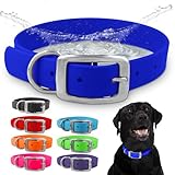 Regal Dog Products Large Blue Dog Collar with...