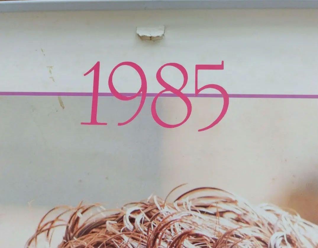 Amazon.co.jp: 松田聖子 1985年カレンダー アイドル カレンダー B2