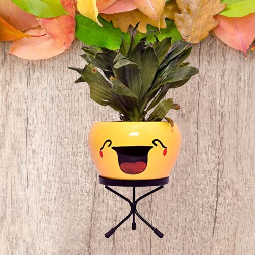Small Table Emoji Flower Pot for Home Decor Indoor & Outdoor Use Home