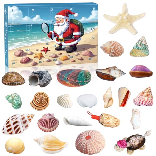 livre Calendrier de l'Avent 2025 en coquillages - Collection de 24 jours de coquillages naturels - Compte à rebours pour enfants