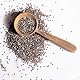 Wholefood Earth Organic Chia Seeds – 500g | Raw | GMO Free | Vegan | Source of Fibre | Certified Organic