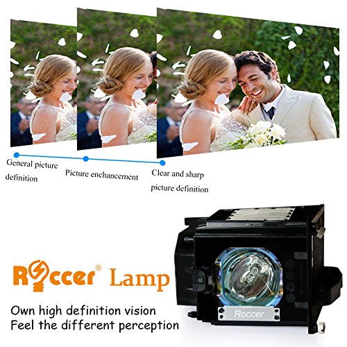 Boryli 915P049010 Replacement Lamp With Housing For Tv Wd-52631 Wd-57731 Wd-65731 Wd-65732 #TOP2