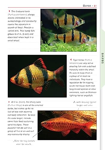 Freshwater Aquariums (CompanionHouse Books) Essential Beginner-Friendly Guide to Setting Up Your Tank, Filtration, Health, Fish, Plants, Substrates, Lighting, and More (Aquamaster) - Image 7