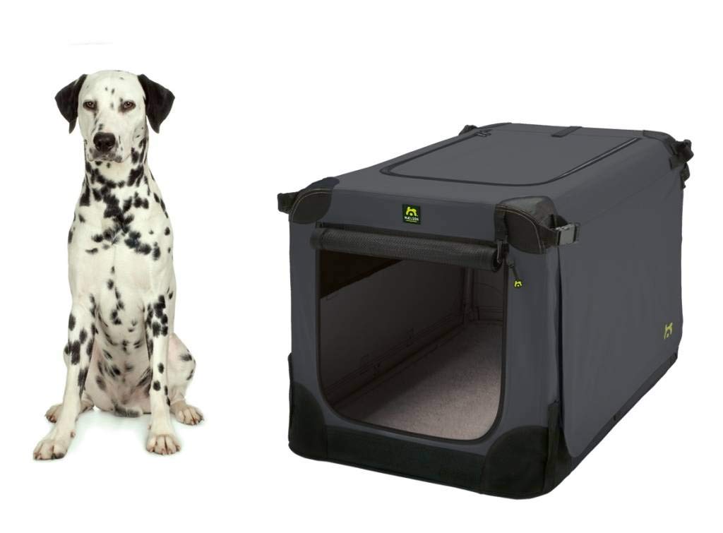 MAELSON Hunde-Transportbox Faltbare Hundebox / Tier Transportbox