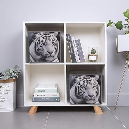 Boîtes de rangement haut de gamme tigre blanc | Set de 6 cubes