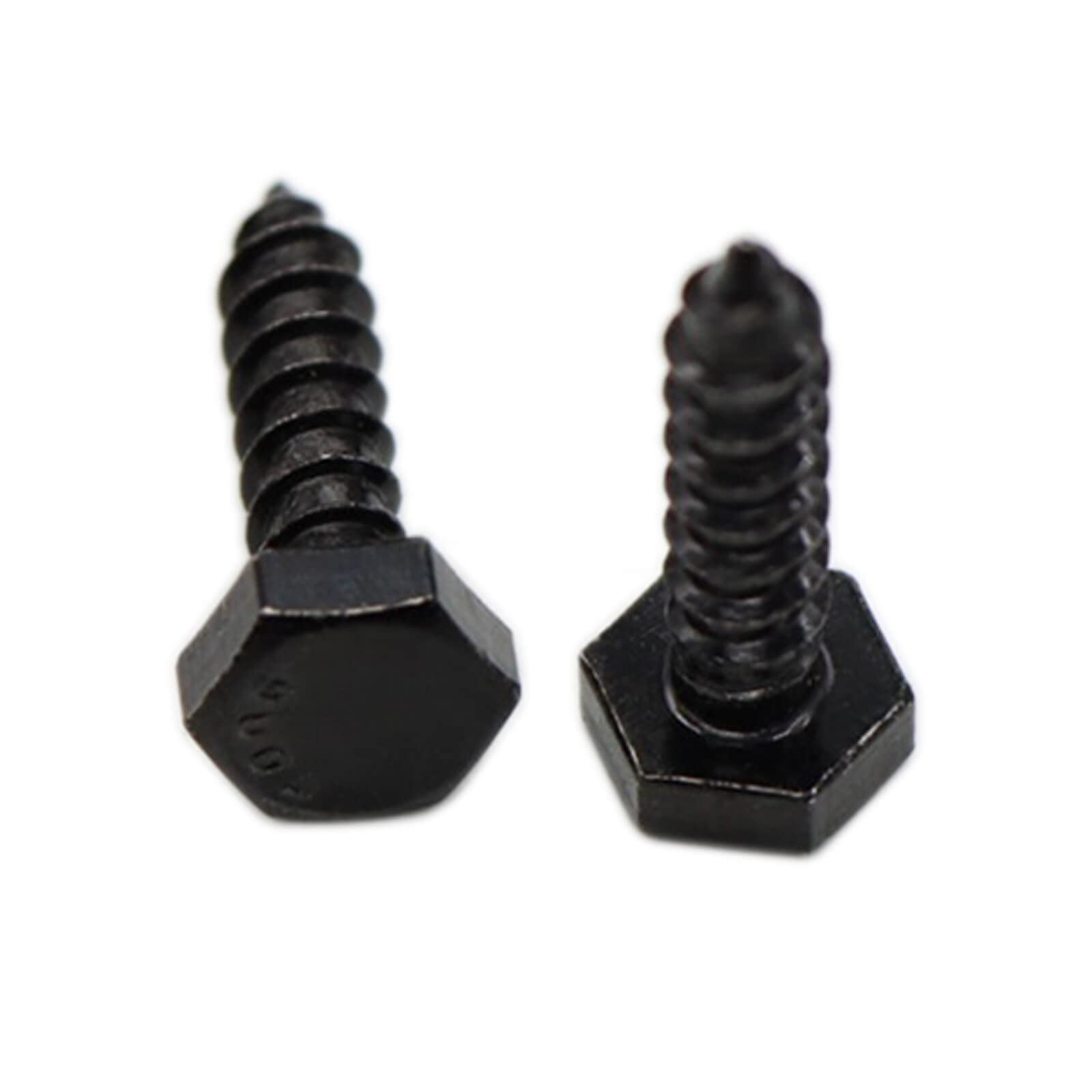 Stainless Steel Black Lag Bolts - 25 Pack -4