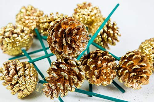Jersey Picked Pine Cones Glitter 12/Bag (Gold)