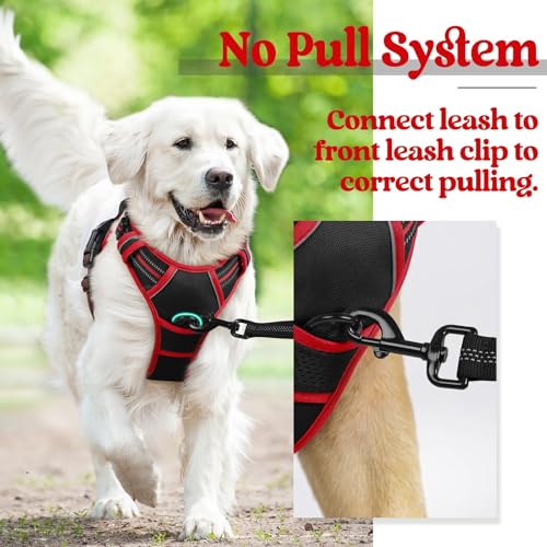 Image of rabbitgoo Dog Harness No Pull with 2 Leash Clips, Adjustable Soft Padded, Reflective Oxford No Choke Pet Vest with Easy Control Handle for Large Dogs, Black & Red, L