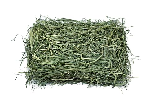 1st Cut Timothy Hay, 8 Lbs miniatura 2