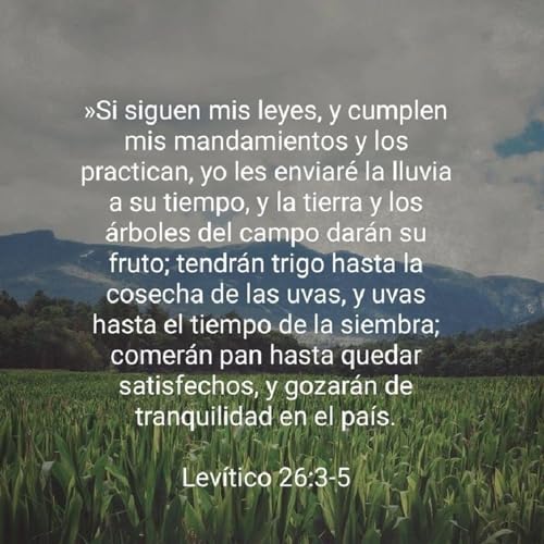 Bendiciones de la obediencia Lev&iacute;tico 26:3-5.