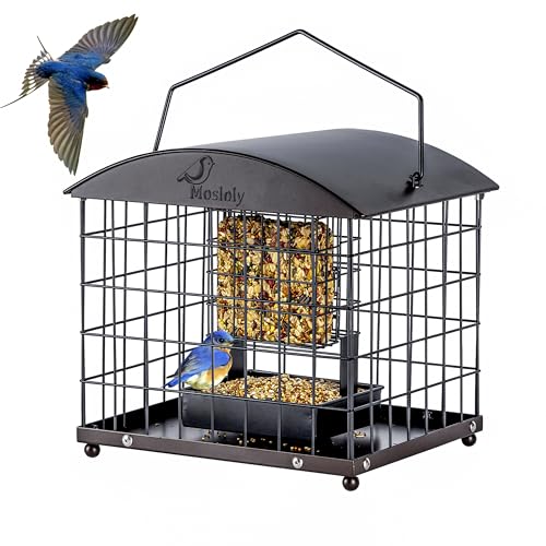 Caged Suet Feeders Squirrel-Proof, Dual-Purpose Suet &Seed Wild Bird Feeders with Tray, Huge Metal Caged Bird Feeders Outdoors Hanging, 2 Suet Cakes+1lb Seed Capacity, Copper