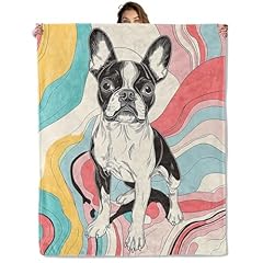 Colorful Boston Terrier