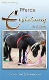  Pferde-Erziehung im Alltag - Sicherheit & Harmonie