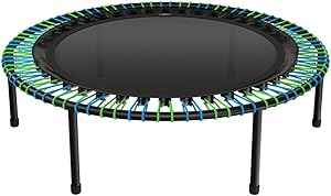 Bellicon Rebounder Workout Trampolines for Sale 2 51w0oHaevUL. AC SL300