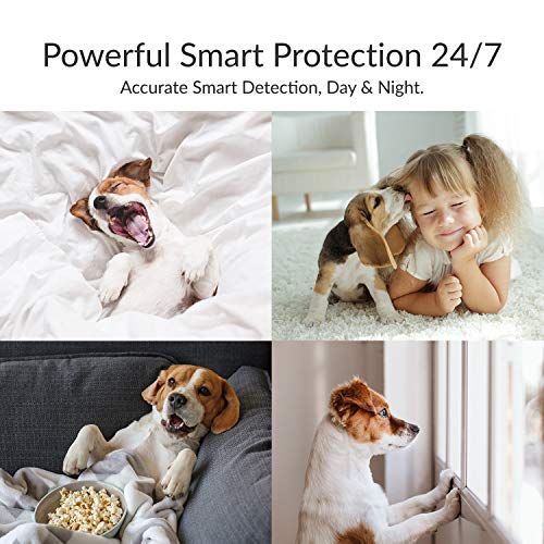 YI Pet Camera Dog Camera with Phone App Pet Dog Cat Puppy Cam Monitor Two Way Audio and Video, Pan/Tilt/Zoom, WiFi… - Image 6