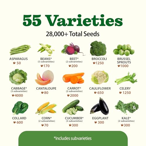 HOME GROWN 55 Vegetable Seeds Pack 28,000+ Non-GMO Heirloom Seeds for Planting Vegetables, Survival Seed Vault, Garden Kit for Spring Fall Winter, Gift for Gardeners - Image 4